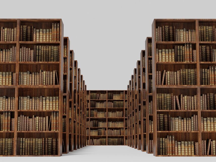 Library Bookshelf Books Education  - AlexAntropov86 / Pixabay